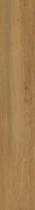 TRUELAND GOLD 19,8X119,8x0,9